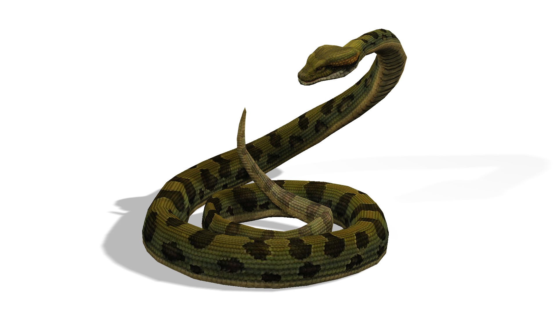 Animated Anaconda Rigged Low-poly 3D model_4