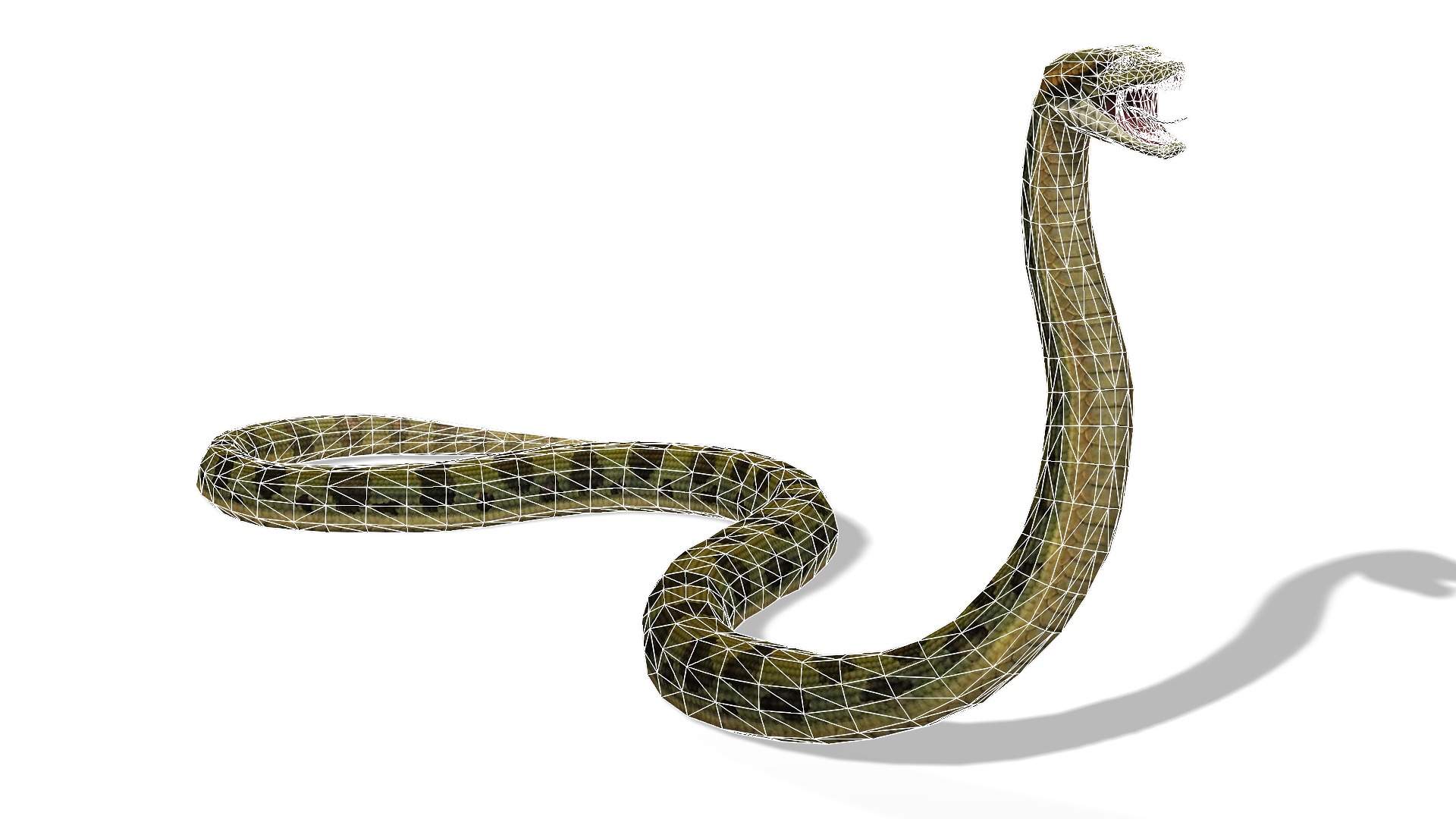 Animated Anaconda Rigged Low-poly 3D model_8