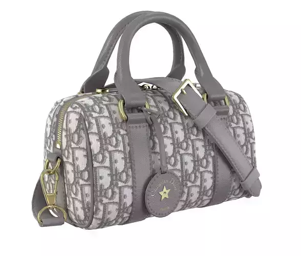 Dior Groove mini Bag Gray