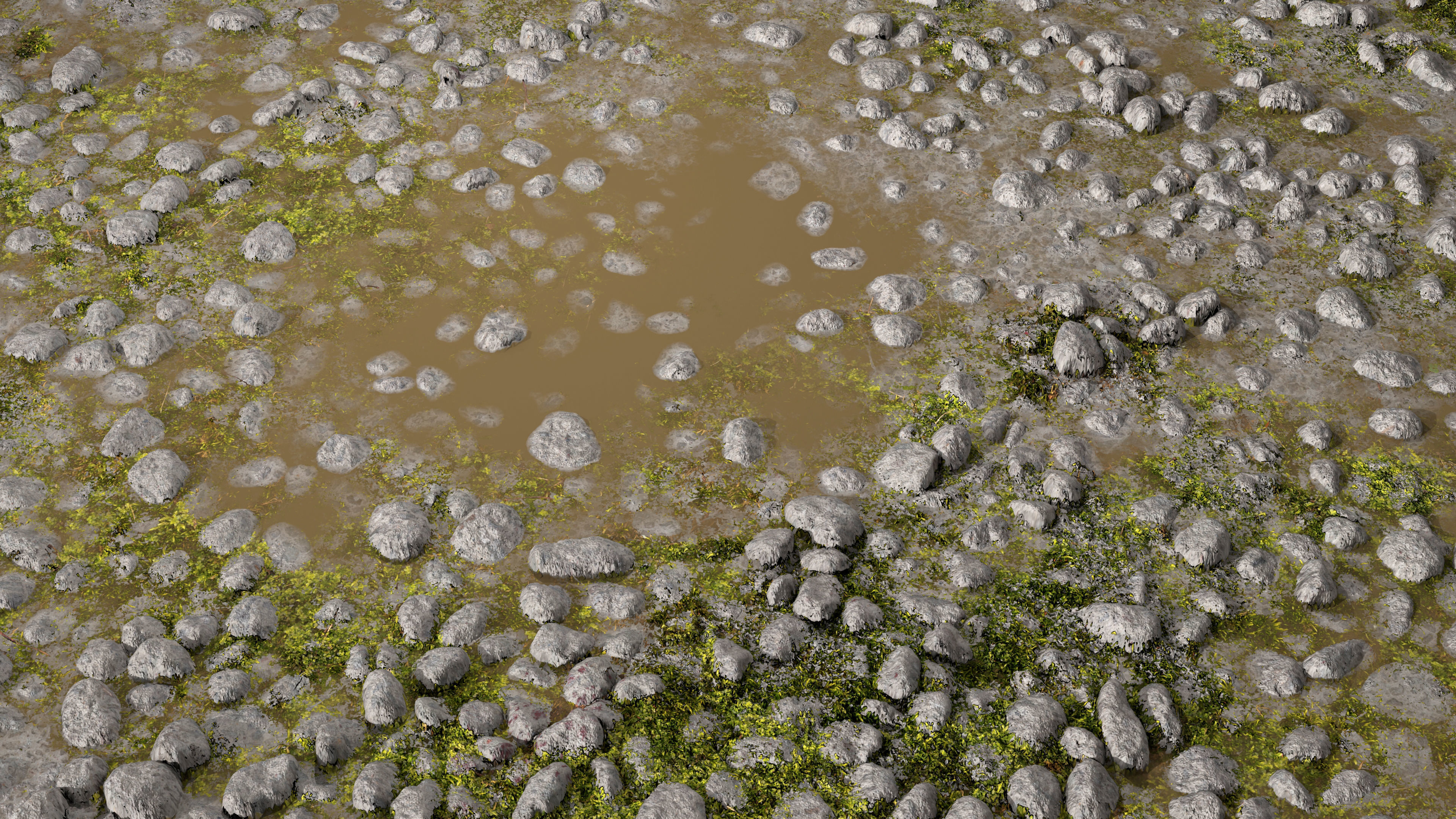 Wet Path PBR Texture Texture_6