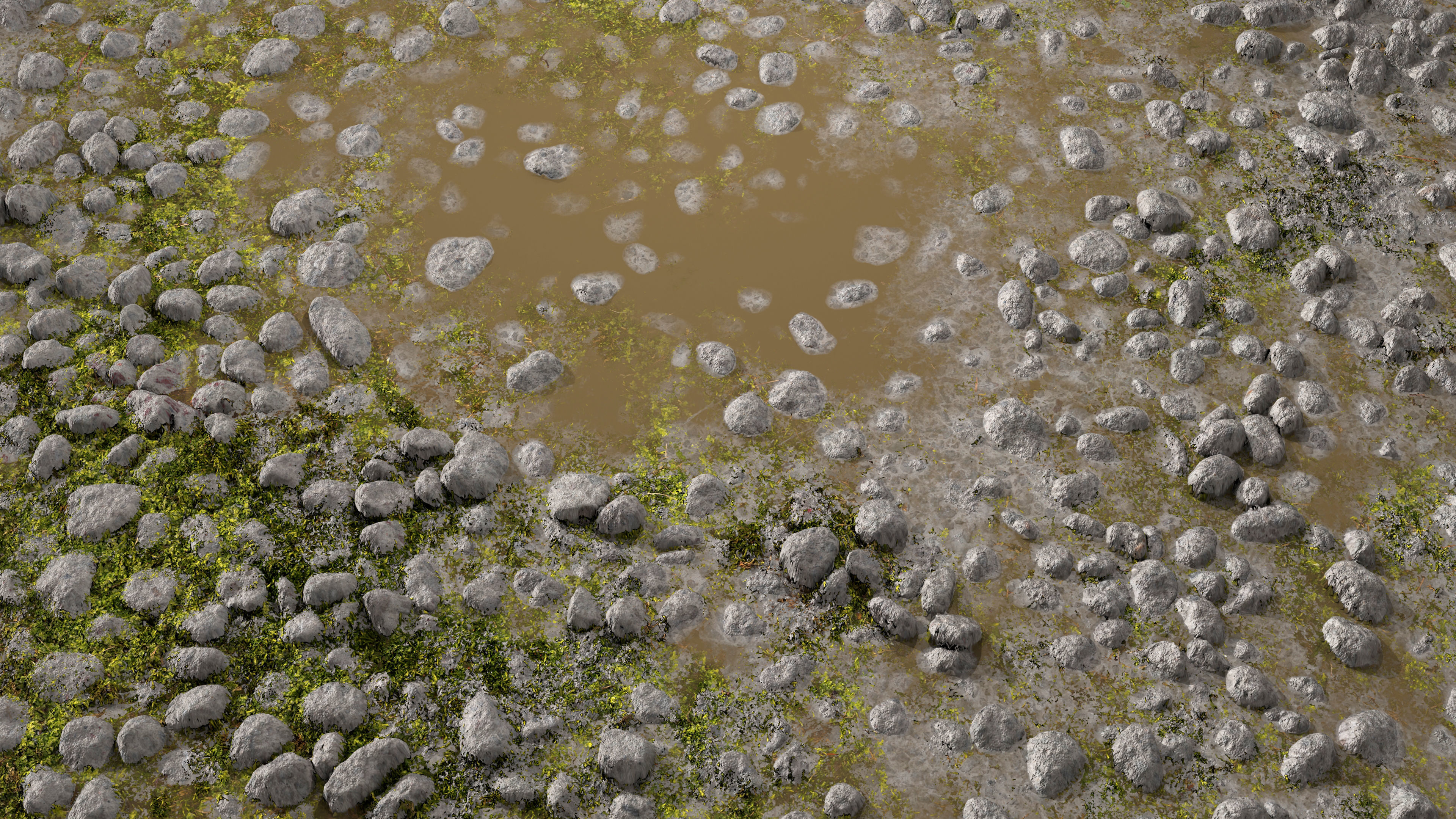 Wet Path PBR Texture Texture_7