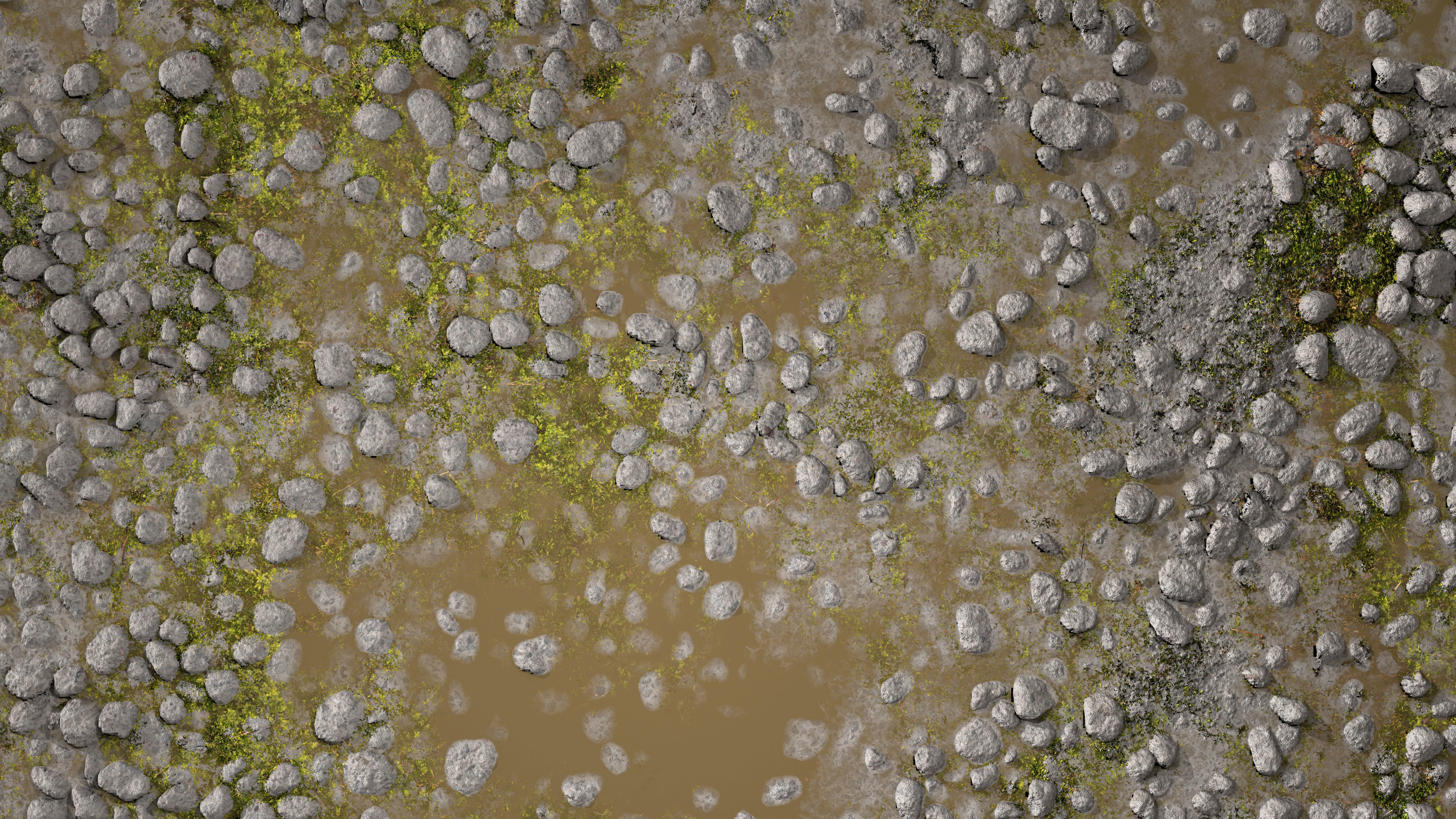 Wet Path PBR Texture Texture_1