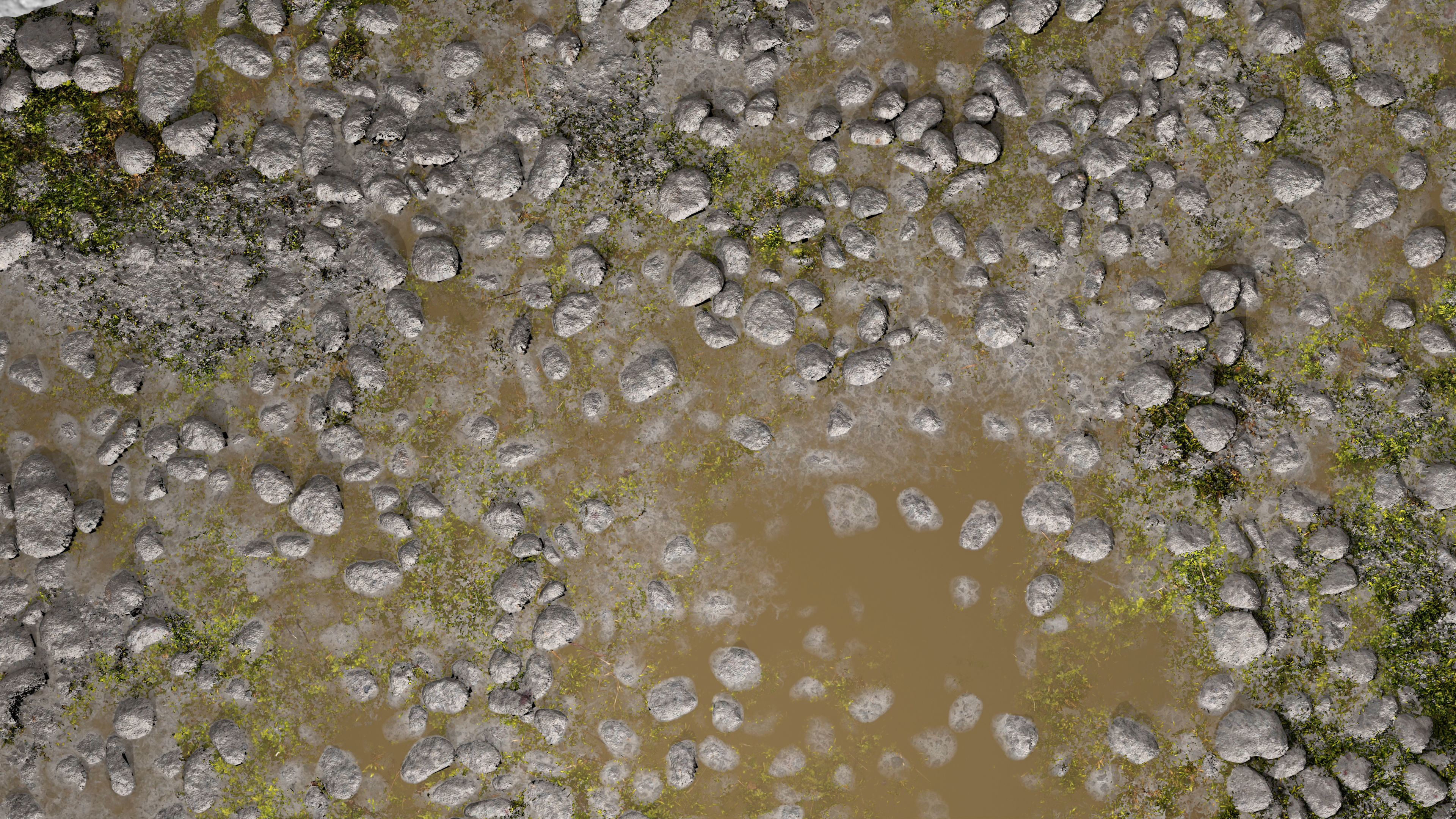 Wet Path PBR Texture Texture_3