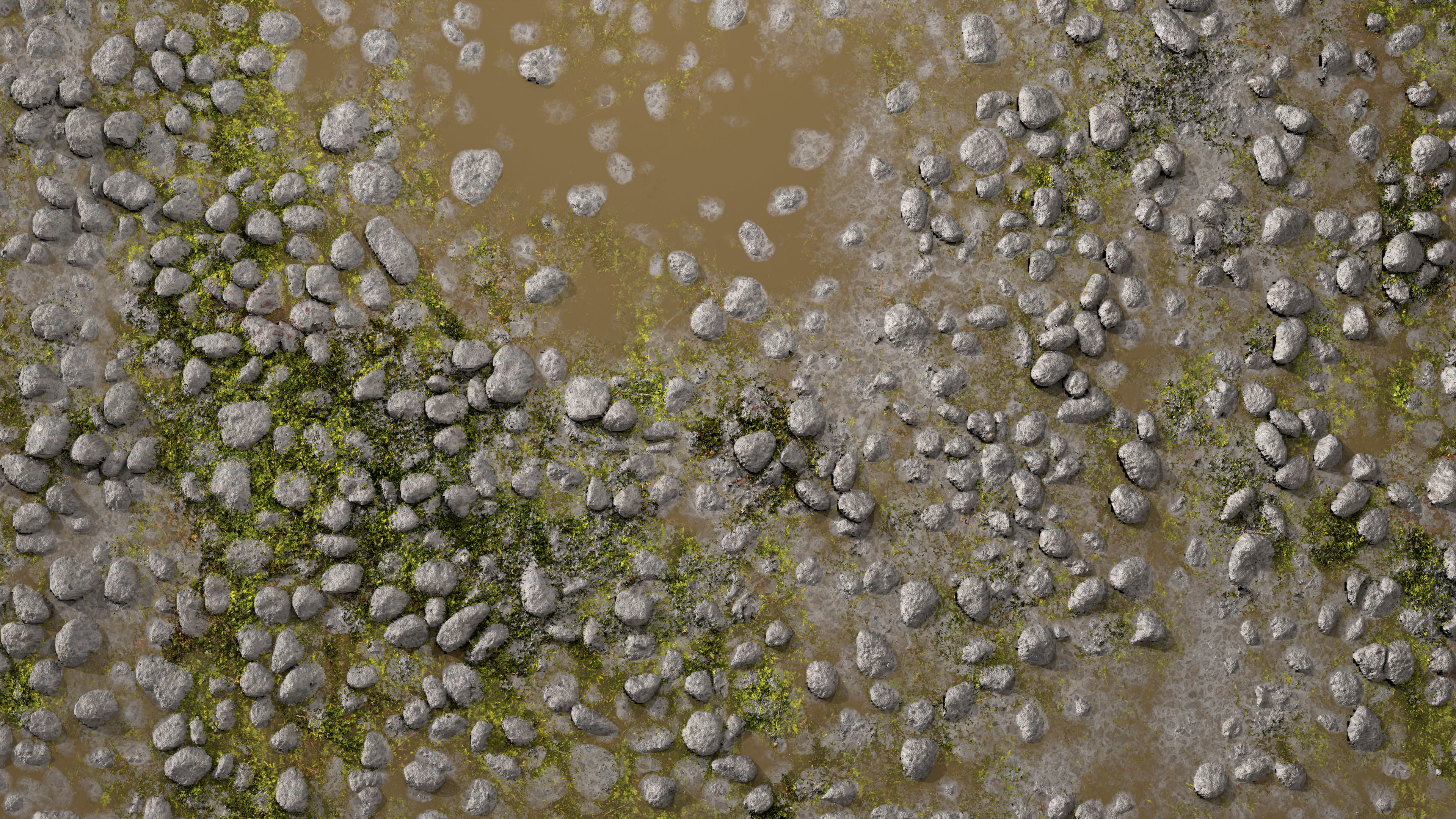 Wet Path PBR Texture Texture_2