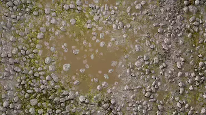Wet Path PBR Texture