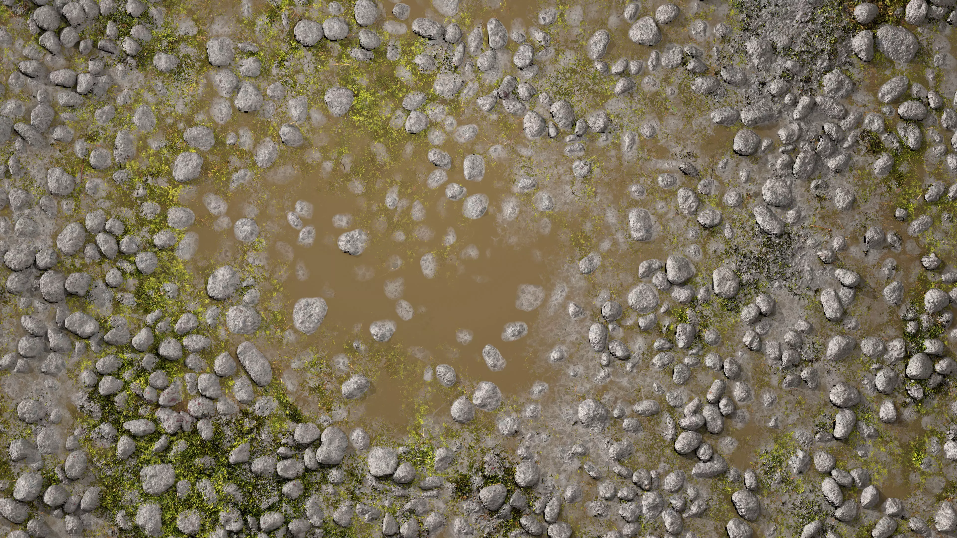 Wet Path PBR Texture Texture_0