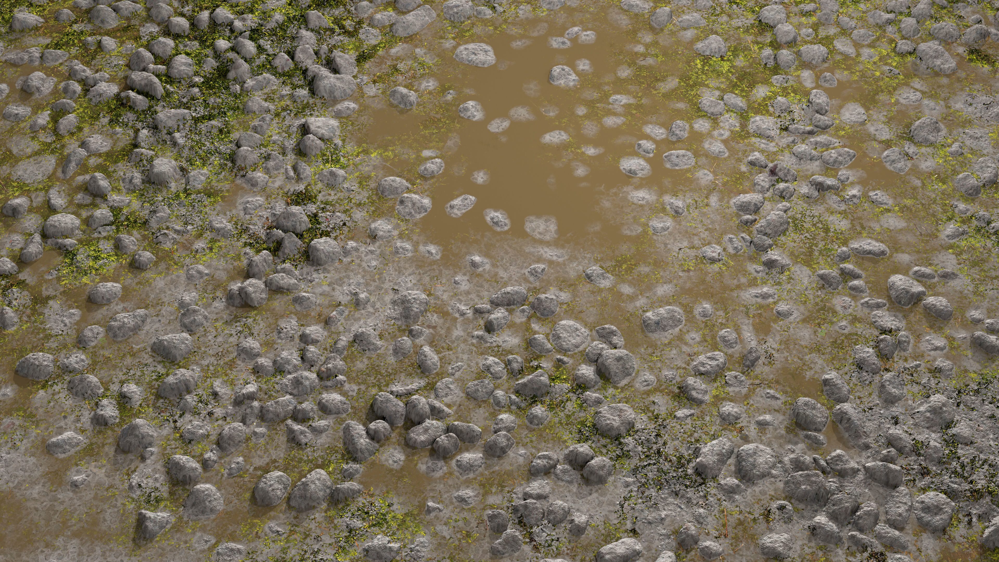 Wet Path PBR Texture Texture_5