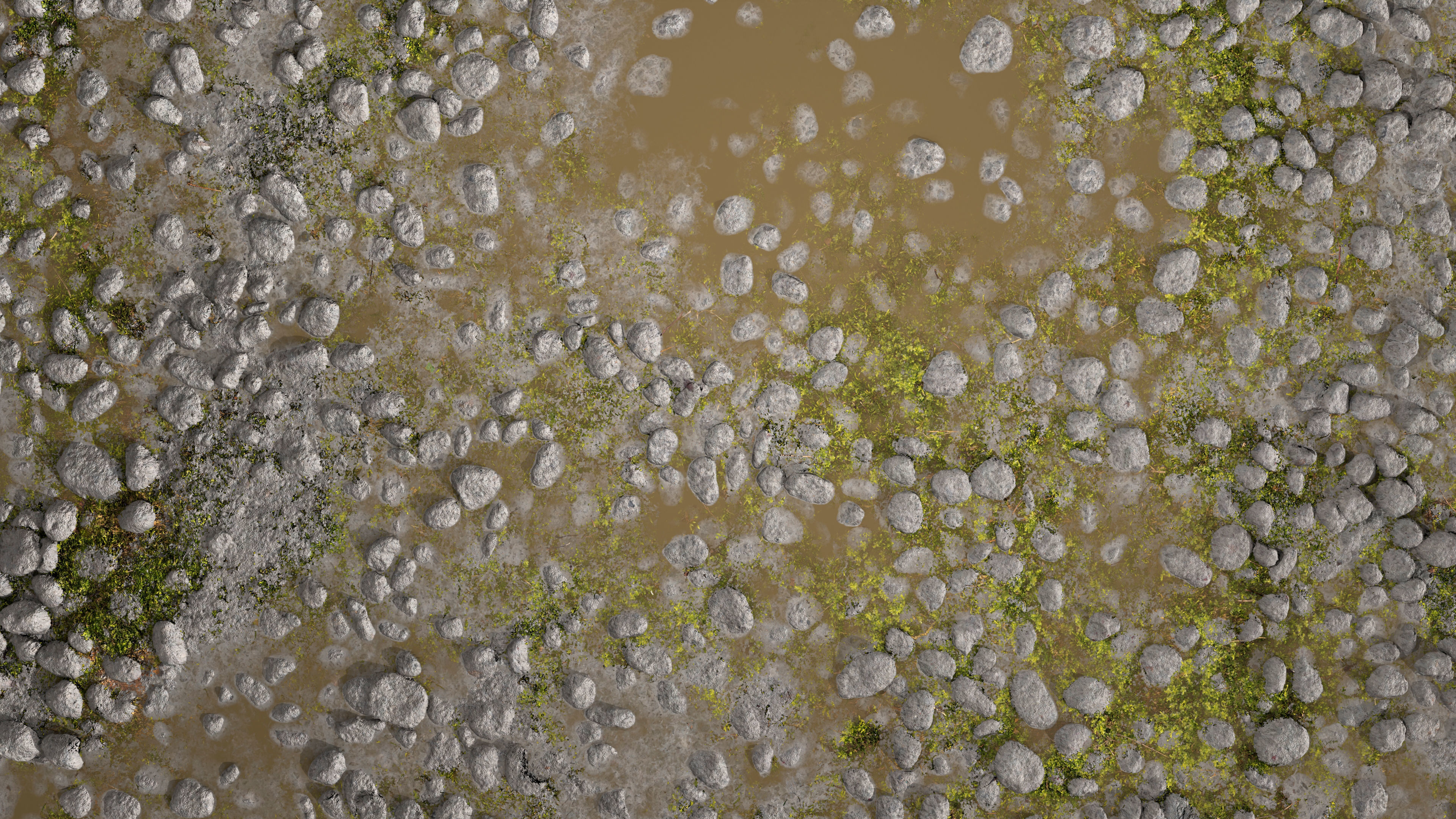 Wet Path PBR Texture Texture_4