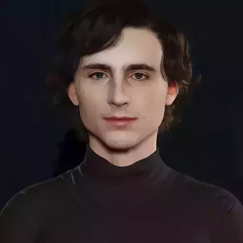 Timothee Chalamet 3d model low-poly Low-poly 3D model