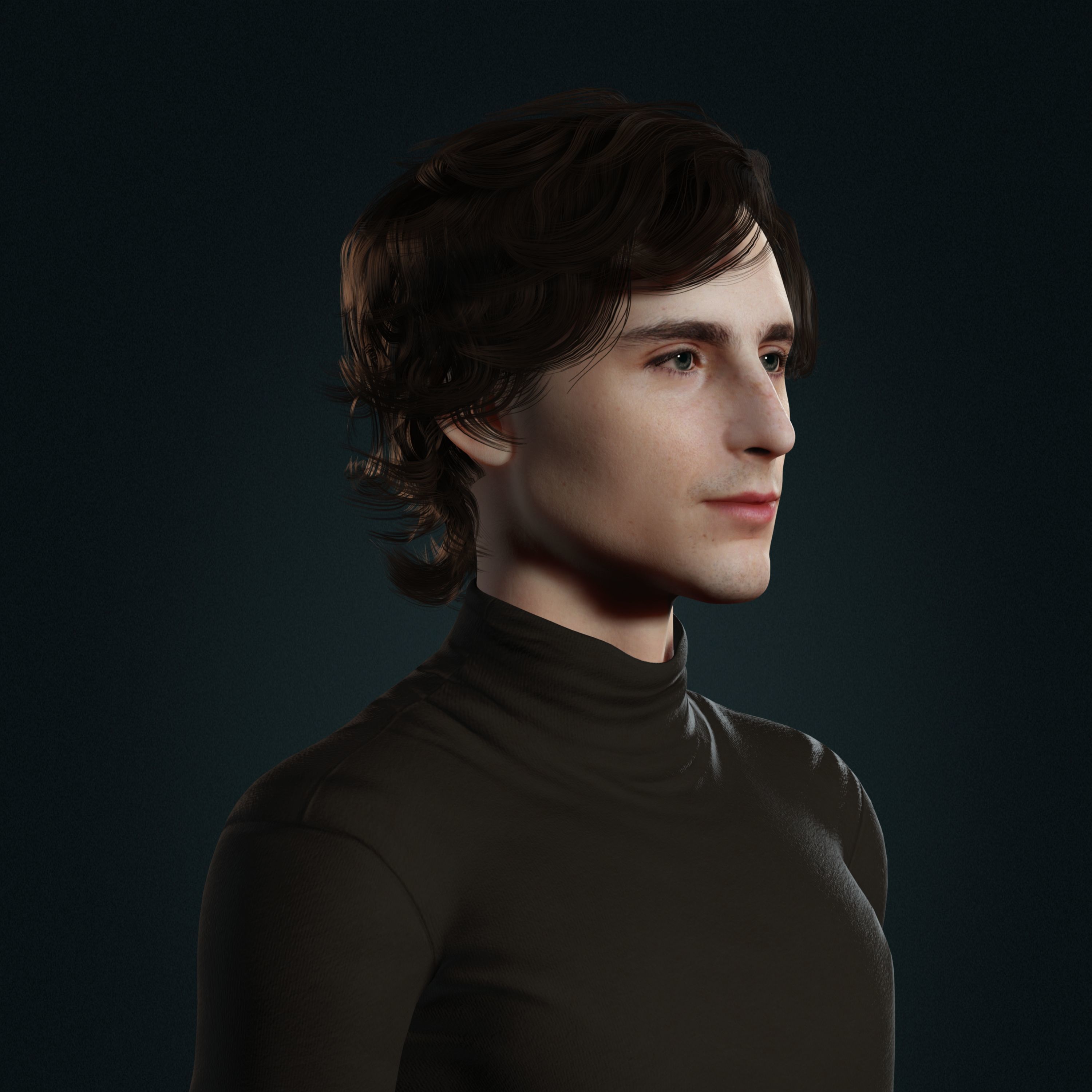 Timothee Chalamet 3d model low-poly Low-poly 3D model_5