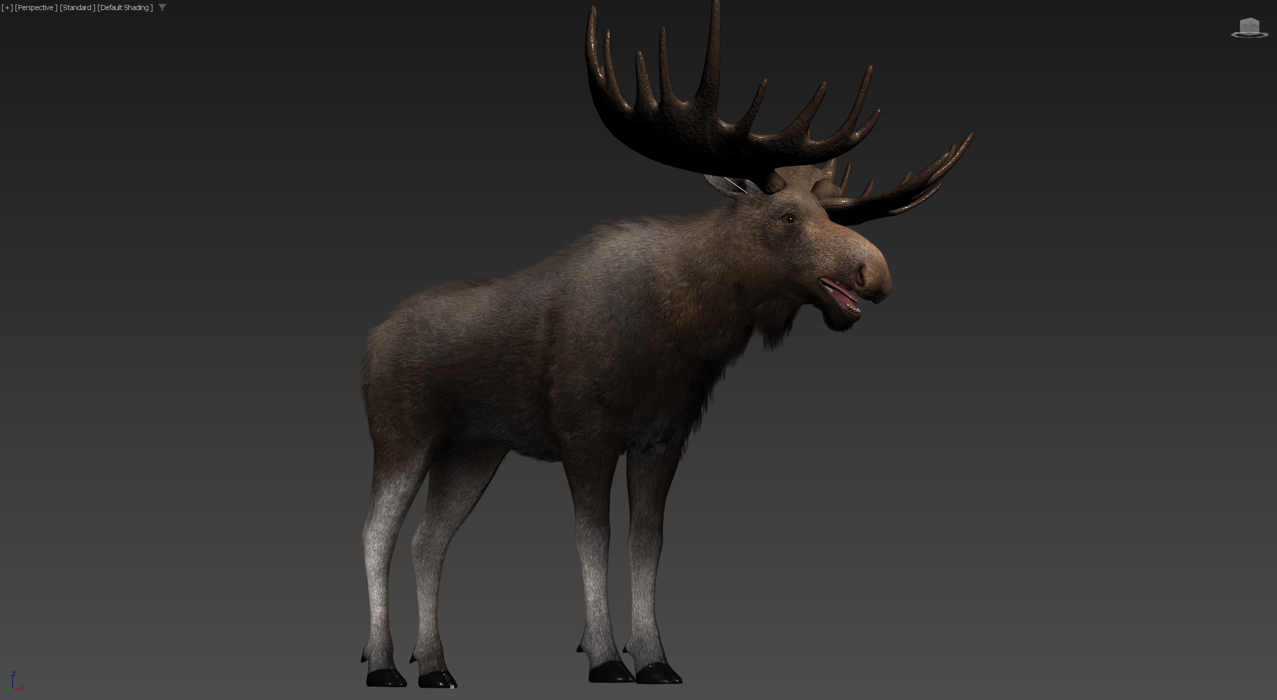 Realistic Moose Low-poly 3D model_26