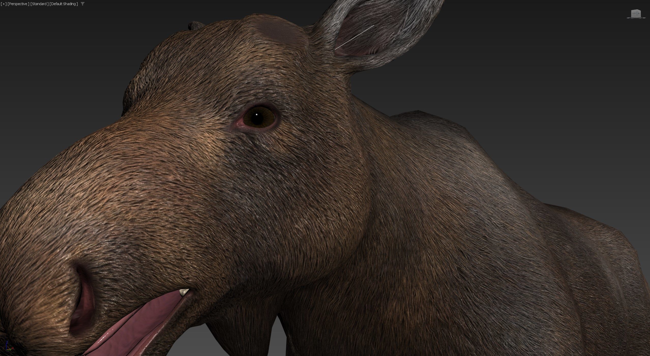 Realistic Moose Low-poly 3D model_25
