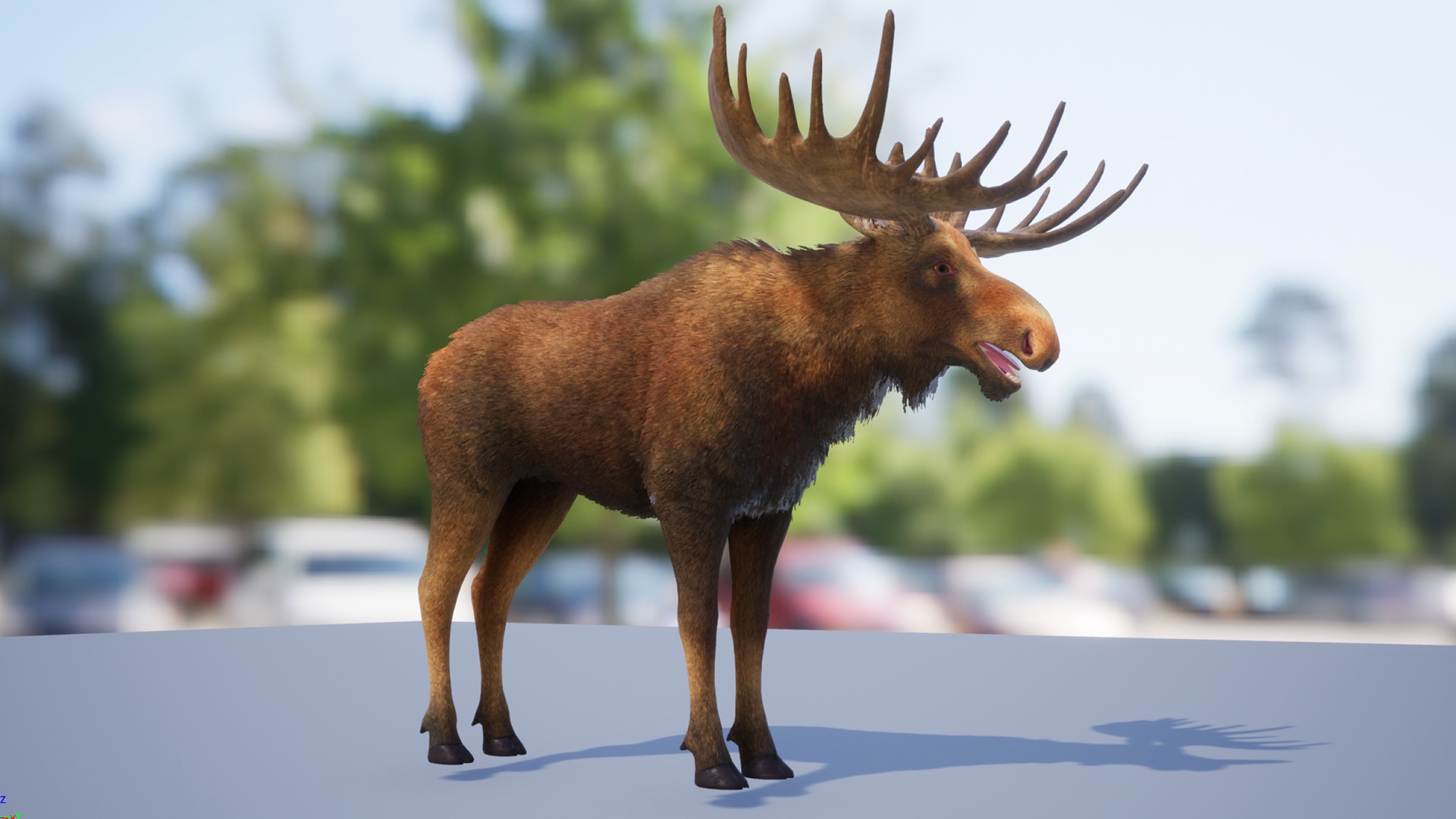Realistic Moose Low-poly 3D model_14