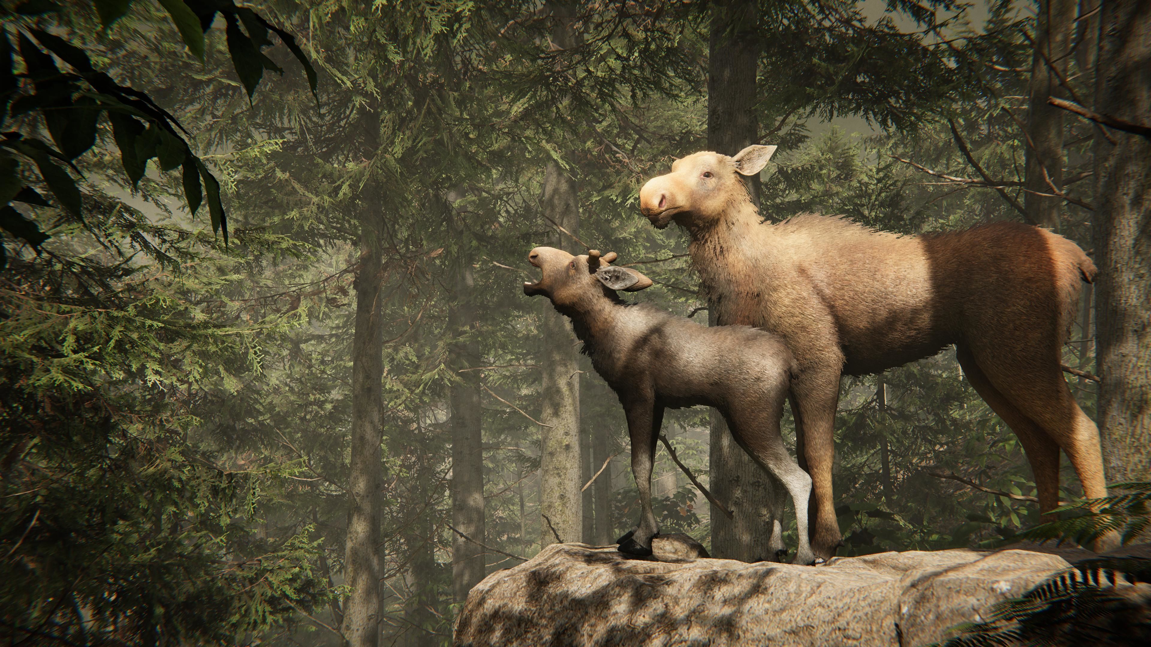 Realistic Moose Low-poly 3D model_16