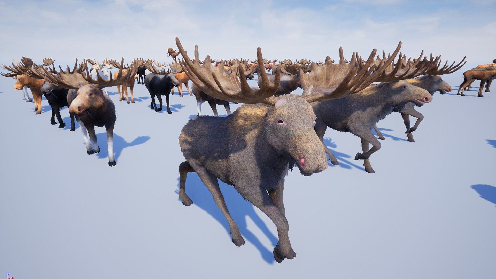 Realistic Moose Low-poly 3D model_12
