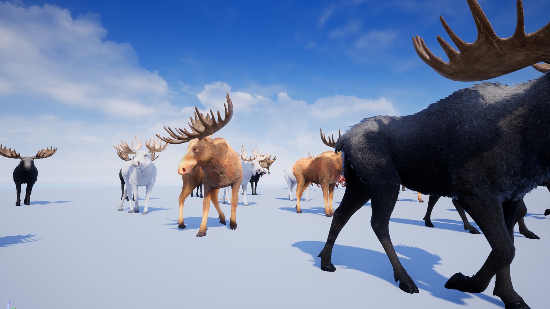 Realistic Moose Low-poly 3D model_13