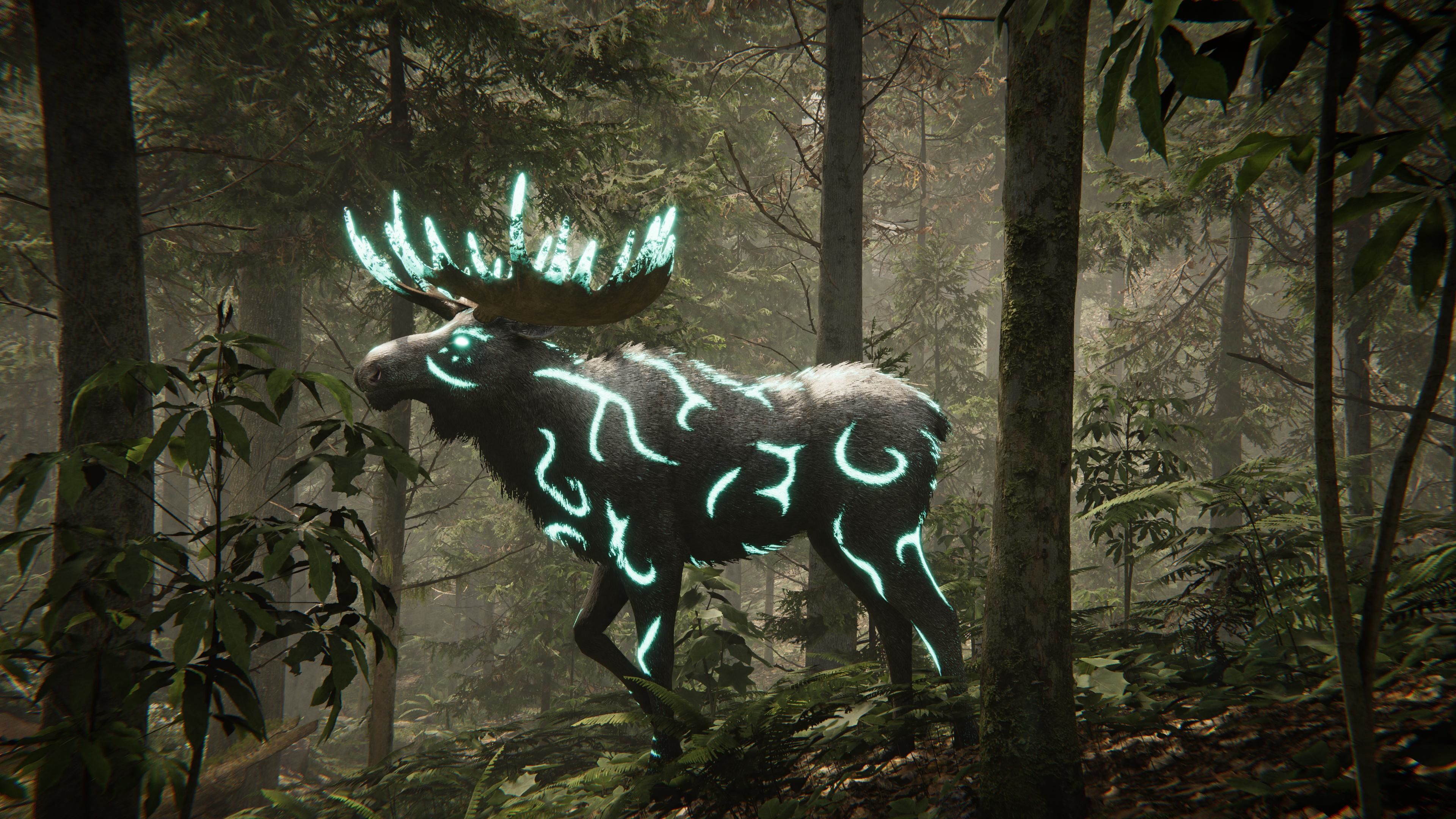 Realistic Moose Low-poly 3D model_22