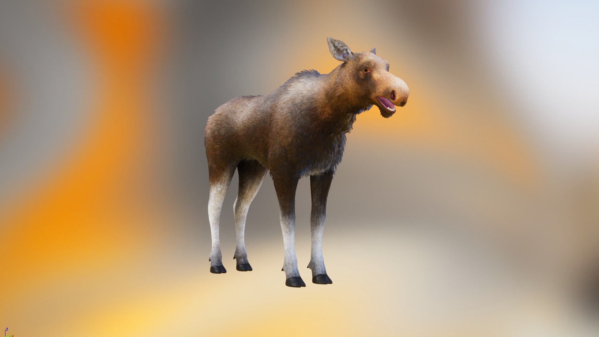 Realistic Moose Low-poly 3D model_7