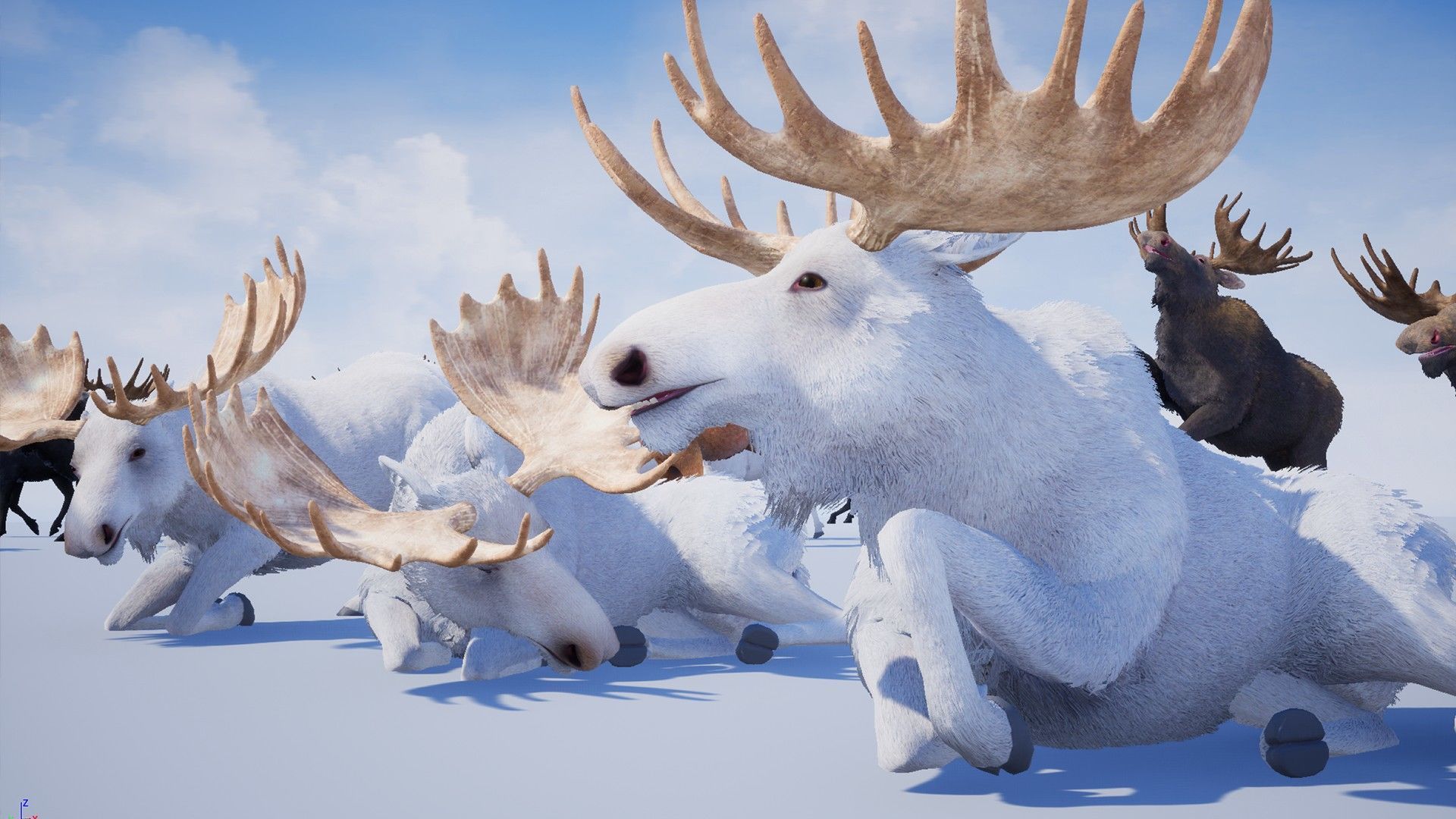 Realistic Moose Low-poly 3D model_4