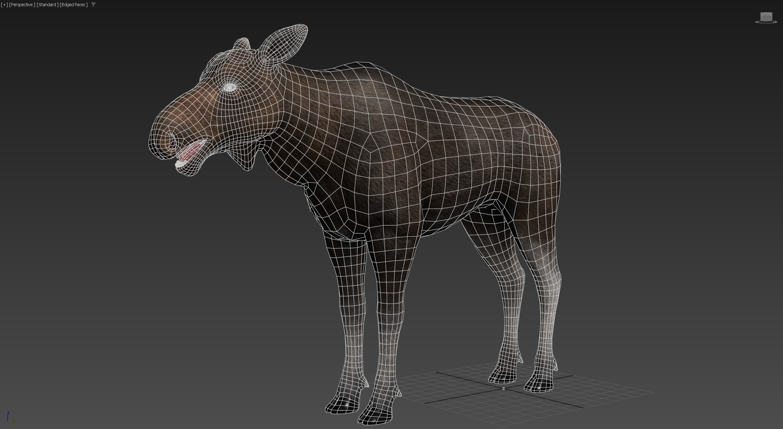 Realistic Moose Low-poly 3D model_23