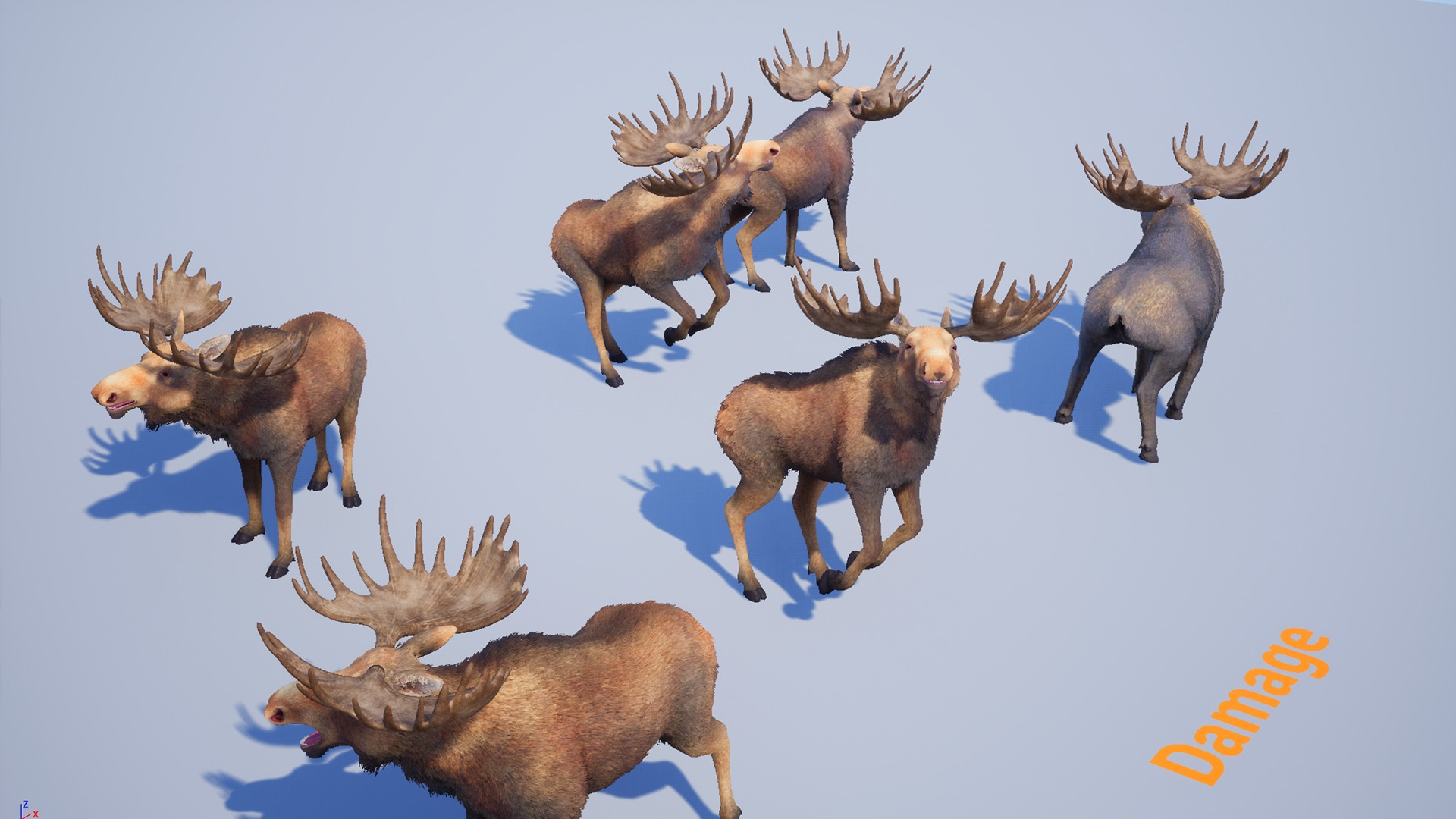 Realistic Moose Low-poly 3D model_8