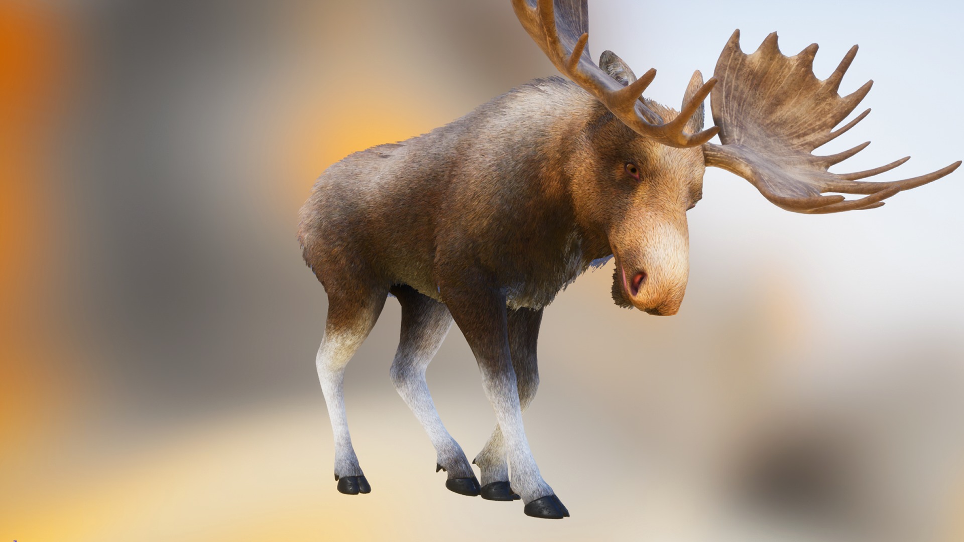 Realistic Moose Low-poly 3D model_9