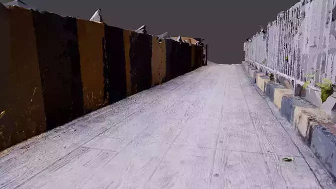 Pathway 3D Scan 3D model