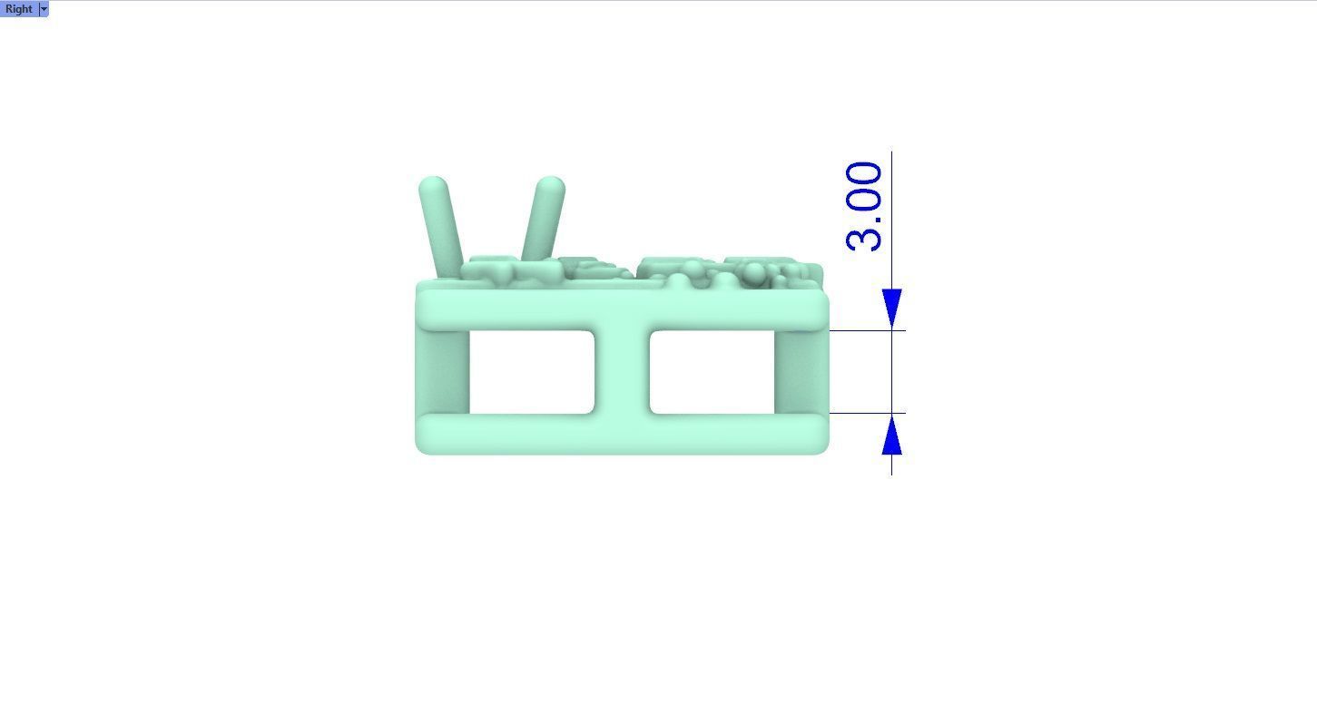 Birthflower Box Pendant December 3D print model_9