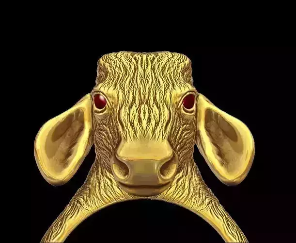 Steer Head Ring 3D print model
