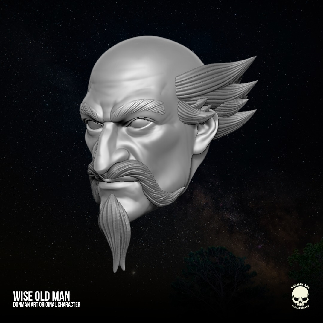 Wise Oldman Donman Art Original 3D files for Action Figures 3D print model_17
