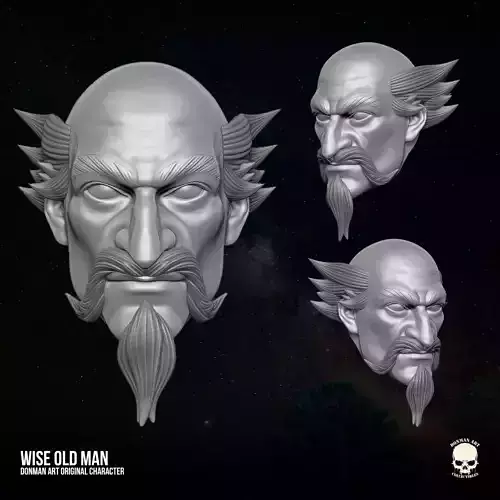 Wise Oldman Donman Art Original 3D files for Action Figures 3D print model