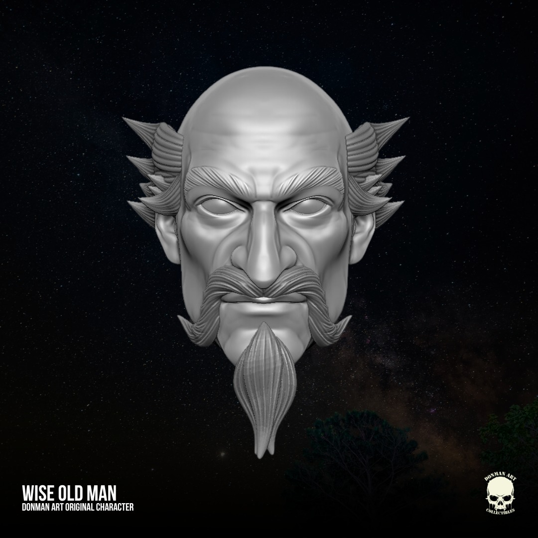 Wise Oldman Donman Art Original 3D files for Action Figures 3D print model_1