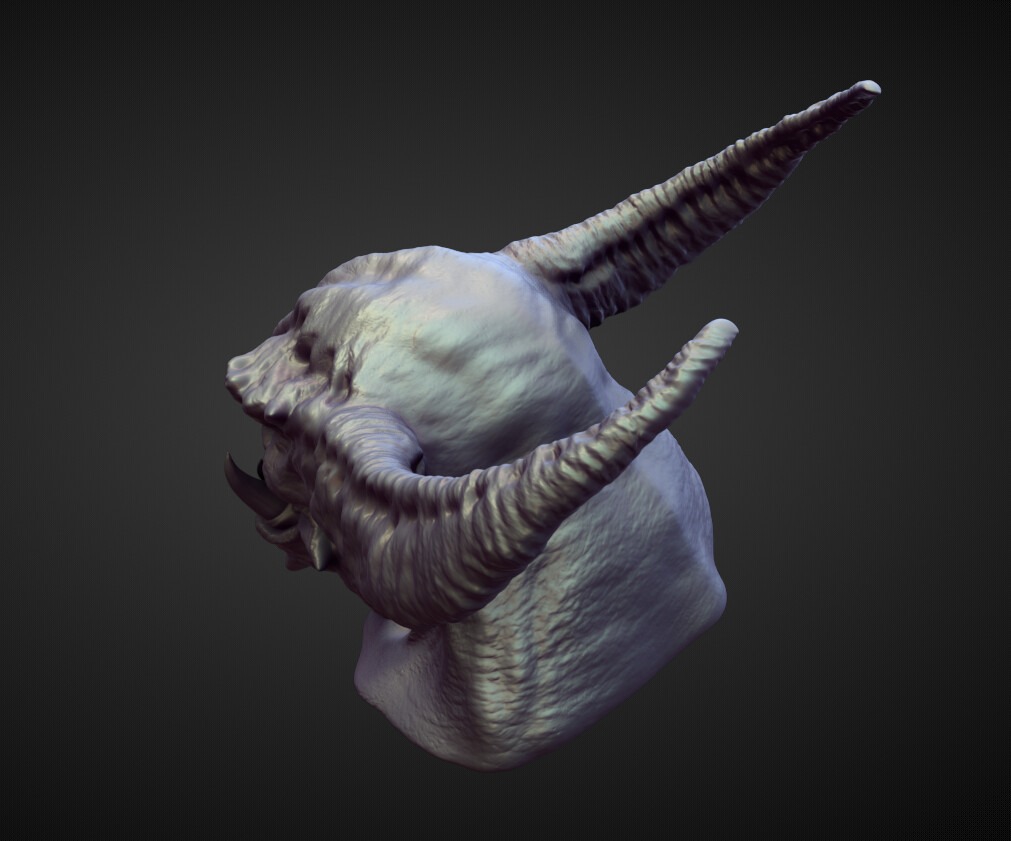 HEAD52 high poly sculpt 3D model_2