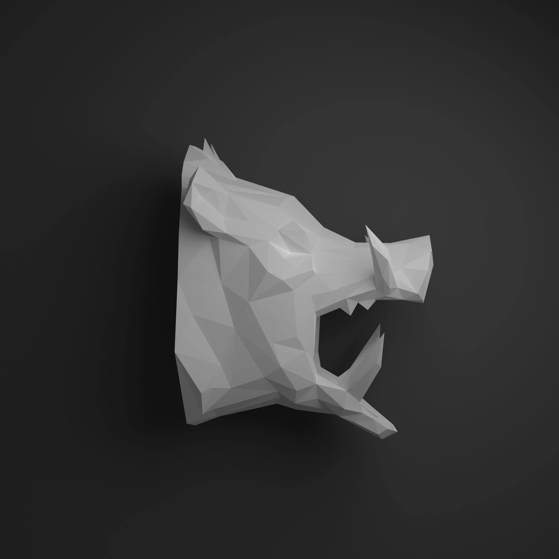 Boar head 3D print model_3