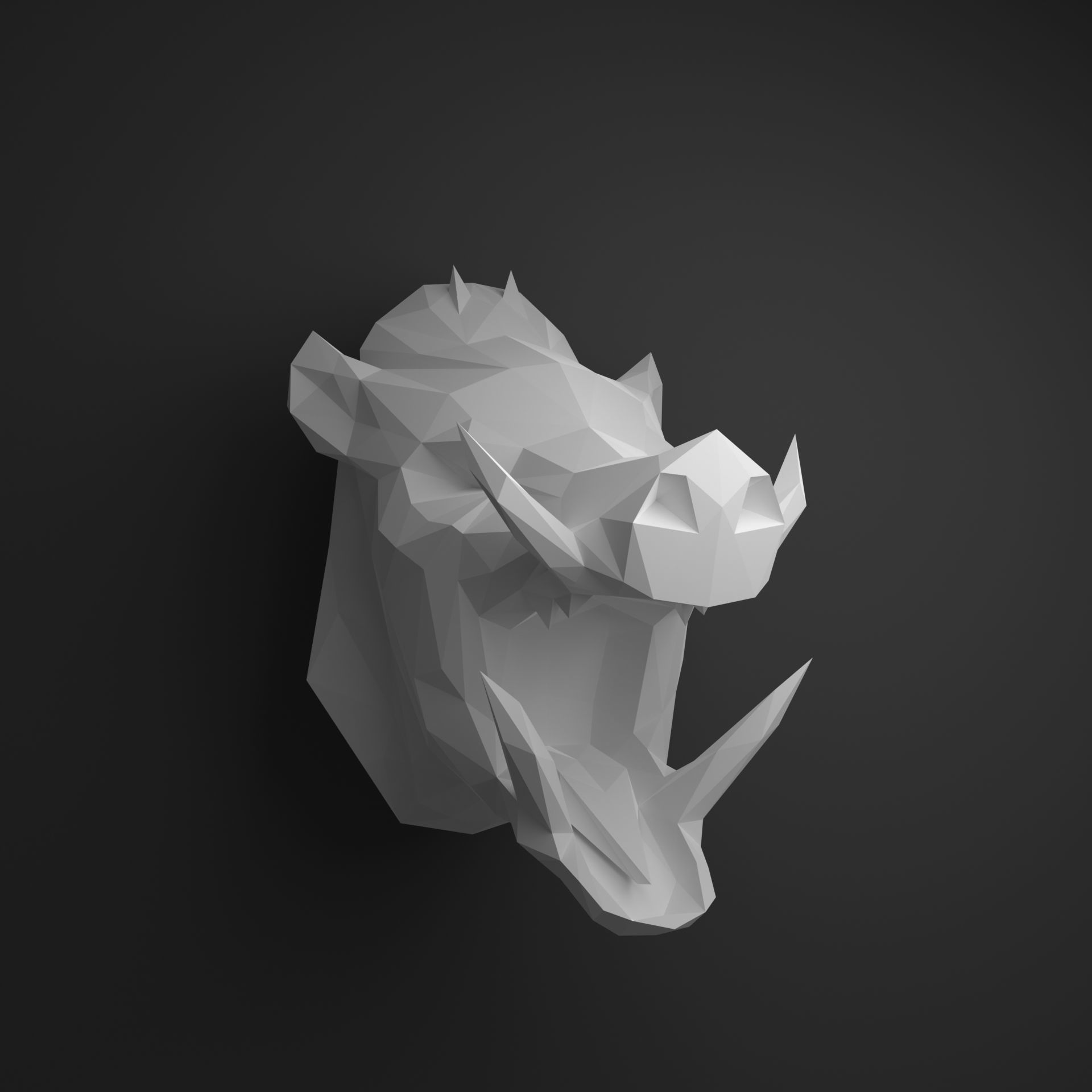 Boar head 3D print model_13