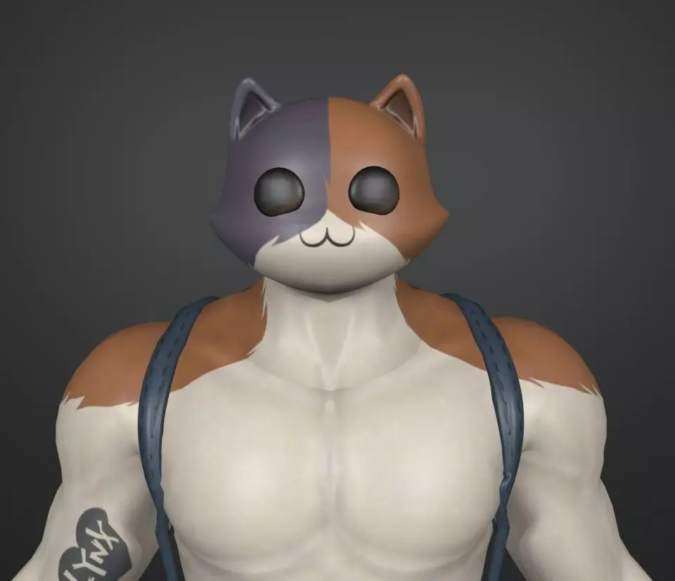 meowsicles 3D model