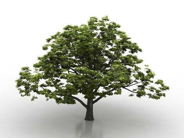 tree and bush 3D model