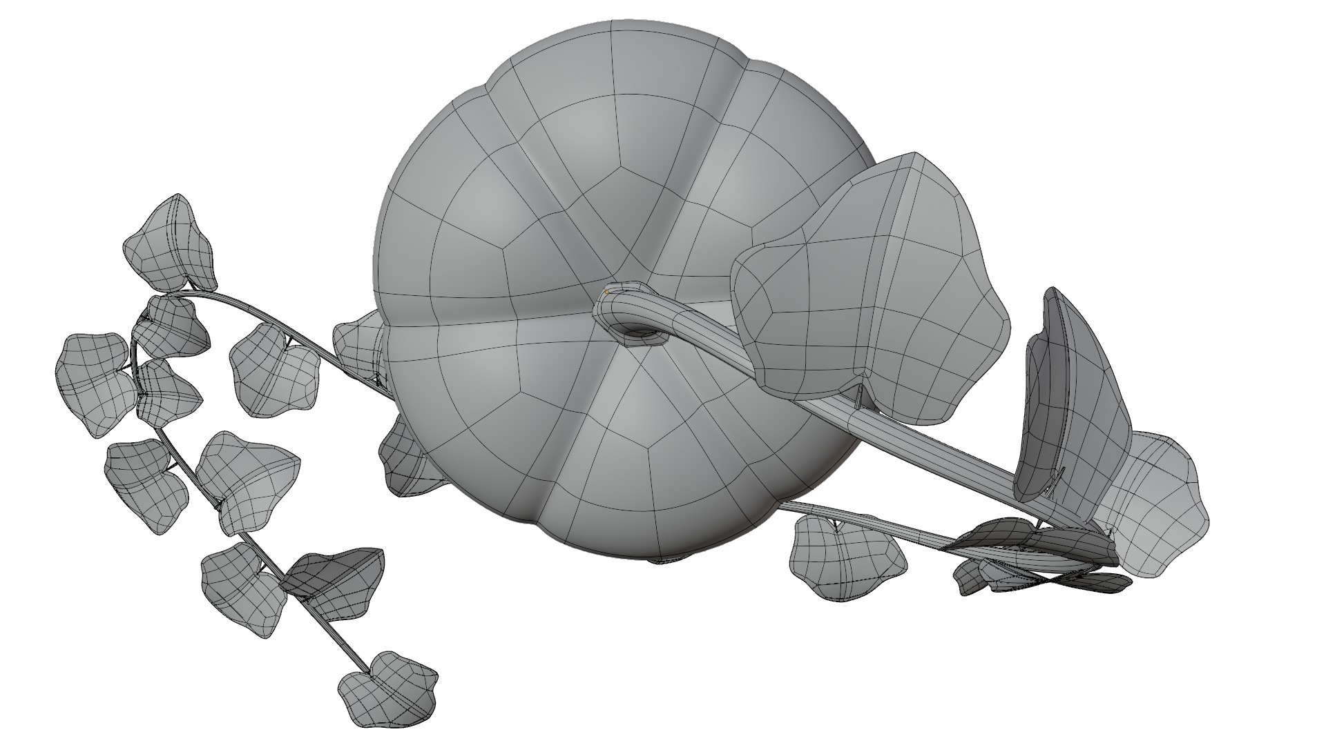 Pumpkin 3D model_17