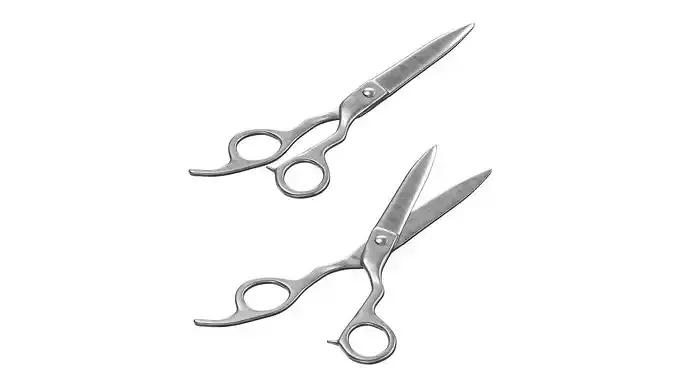  Kasho Metal Scissors for a hairstyle