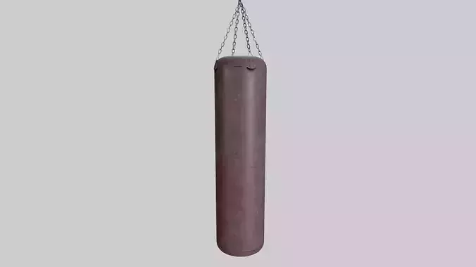 Punching Bag