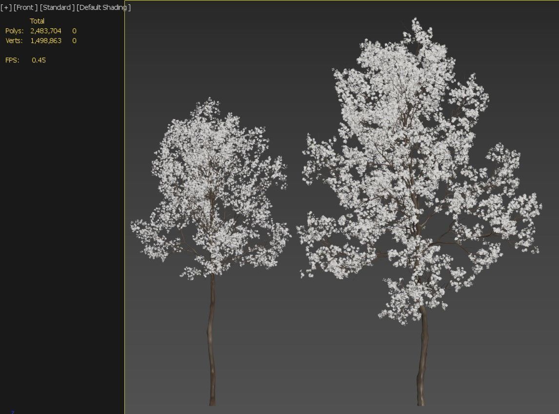 Blooming peach tree 3D model_5
