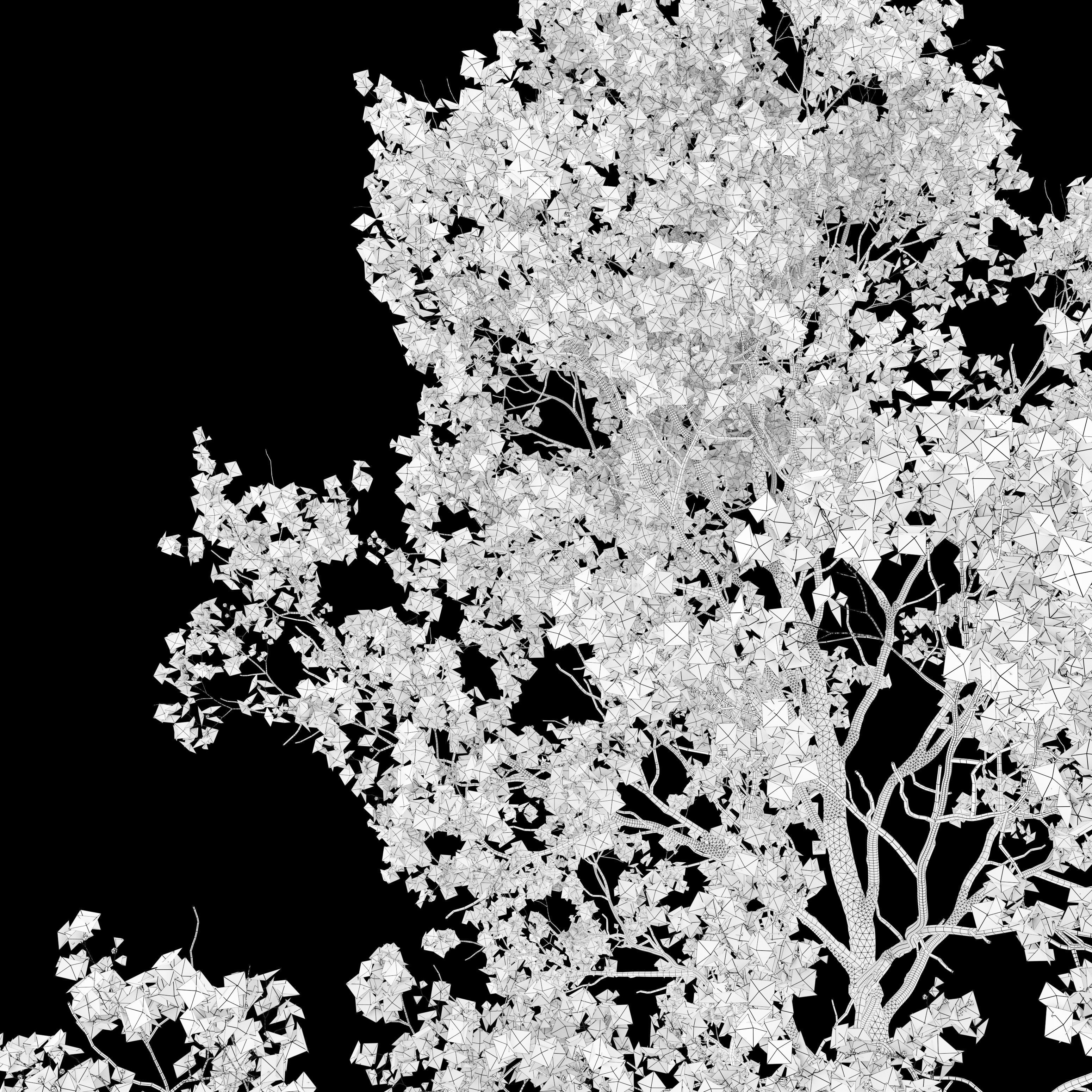 Blooming peach tree 3D model_4