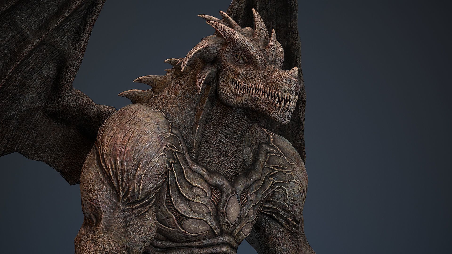 Draconid 2 Low-poly 3D model_6