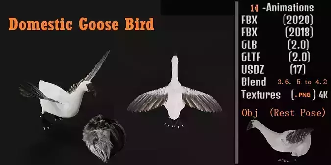 Domestic Goose Bird Low-poly 3D model