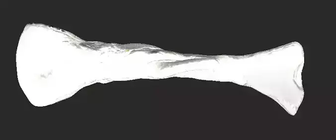 3D Scan of Silver Clay Abstract Hammerhead Shark Sculpture