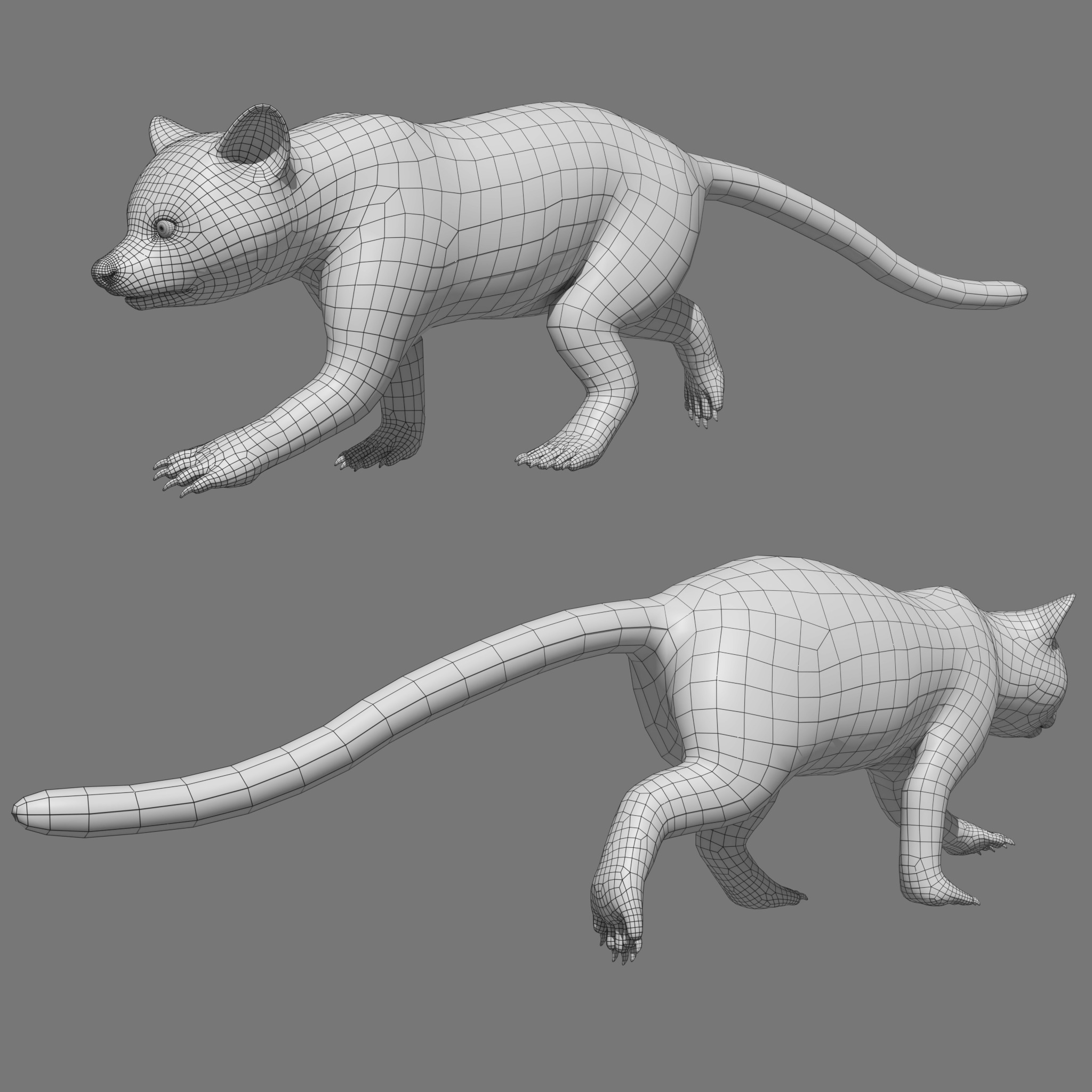 Red Panda Rigged Animated 3D model_17