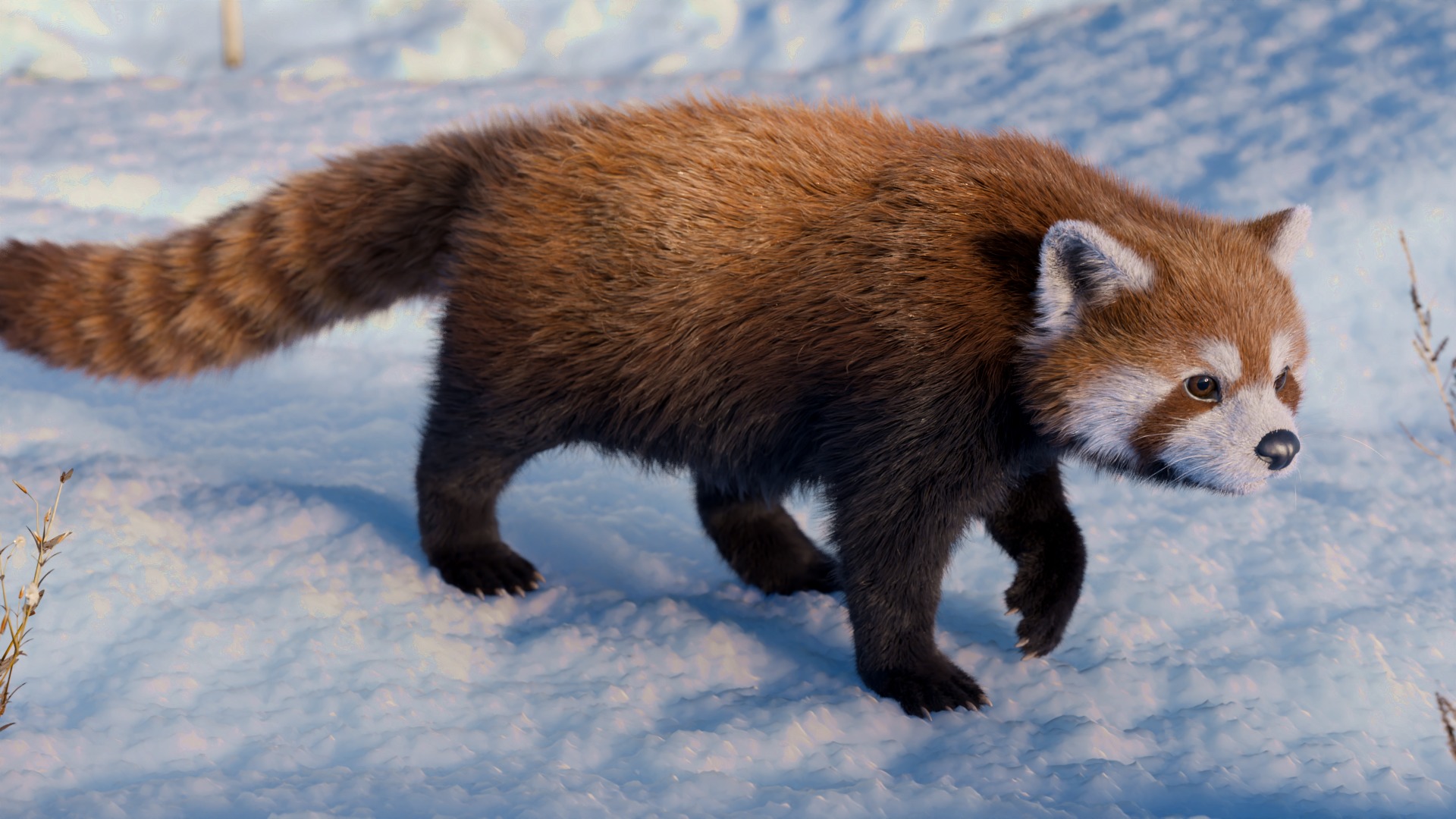 Red Panda Rigged Animated 3D model_4