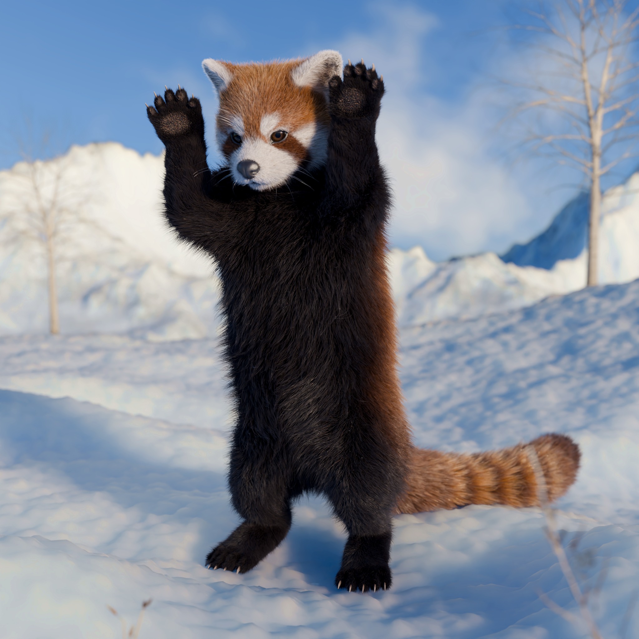 Red Panda Rigged Animated 3D model_7
