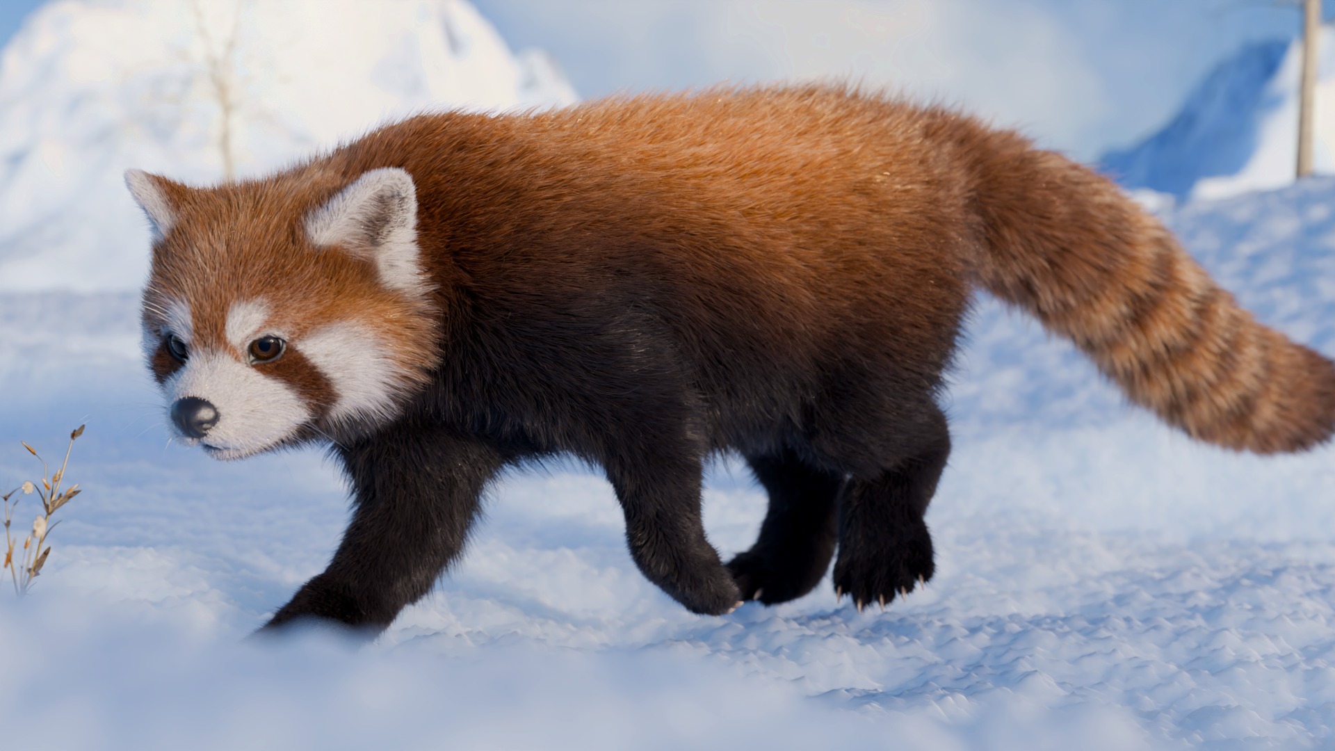 Red Panda Rigged Animated 3D model_6