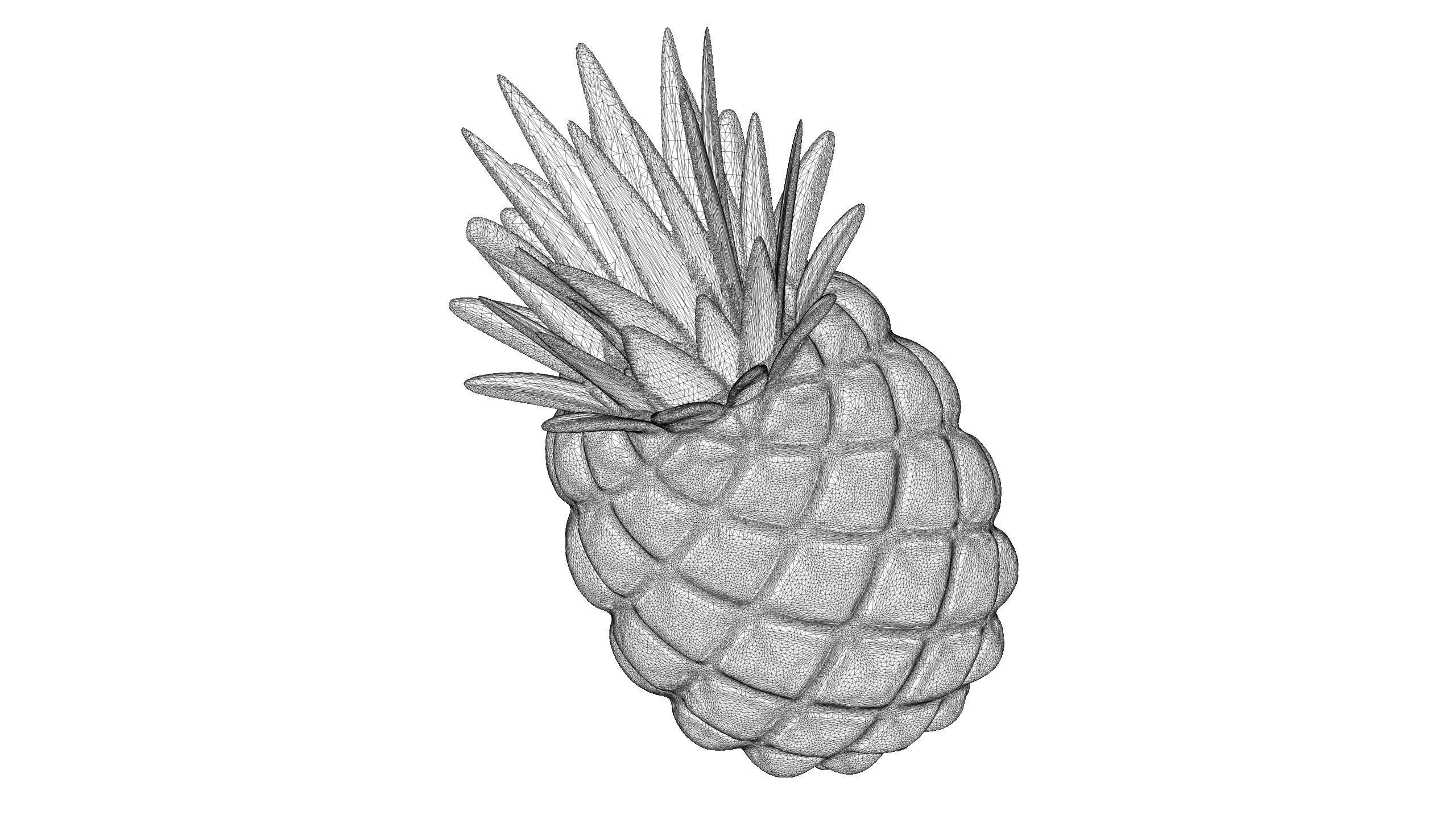 pineapple 3D print model_7